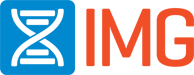 Logo IMG